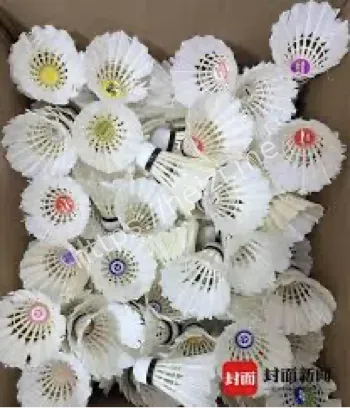 羽毛球价格